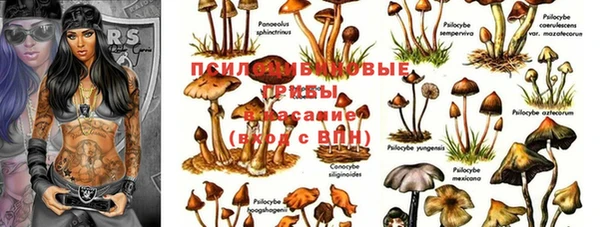 apvp Аркадак