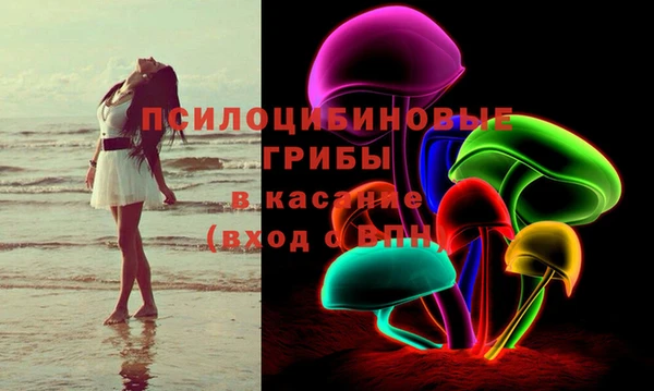 apvp Аркадак