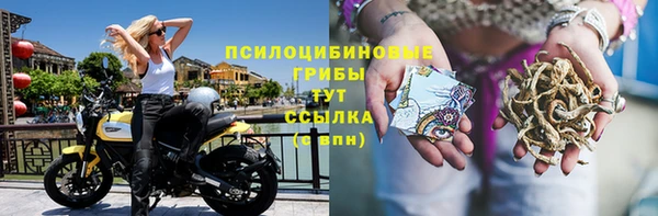apvp Аркадак